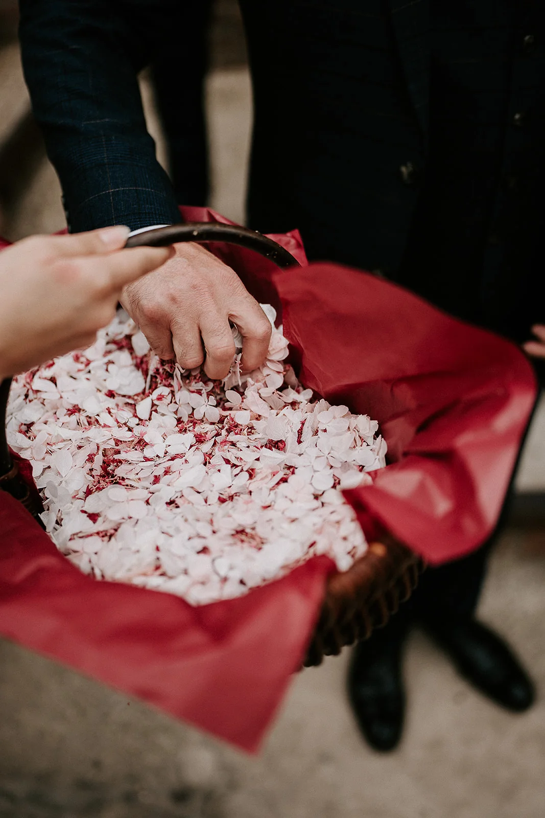 Flower petal confetti
