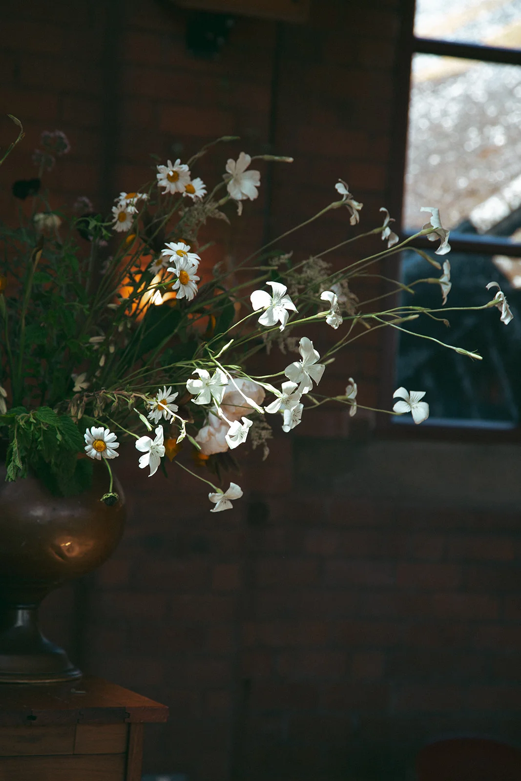Beautiful flowers in the sunlight