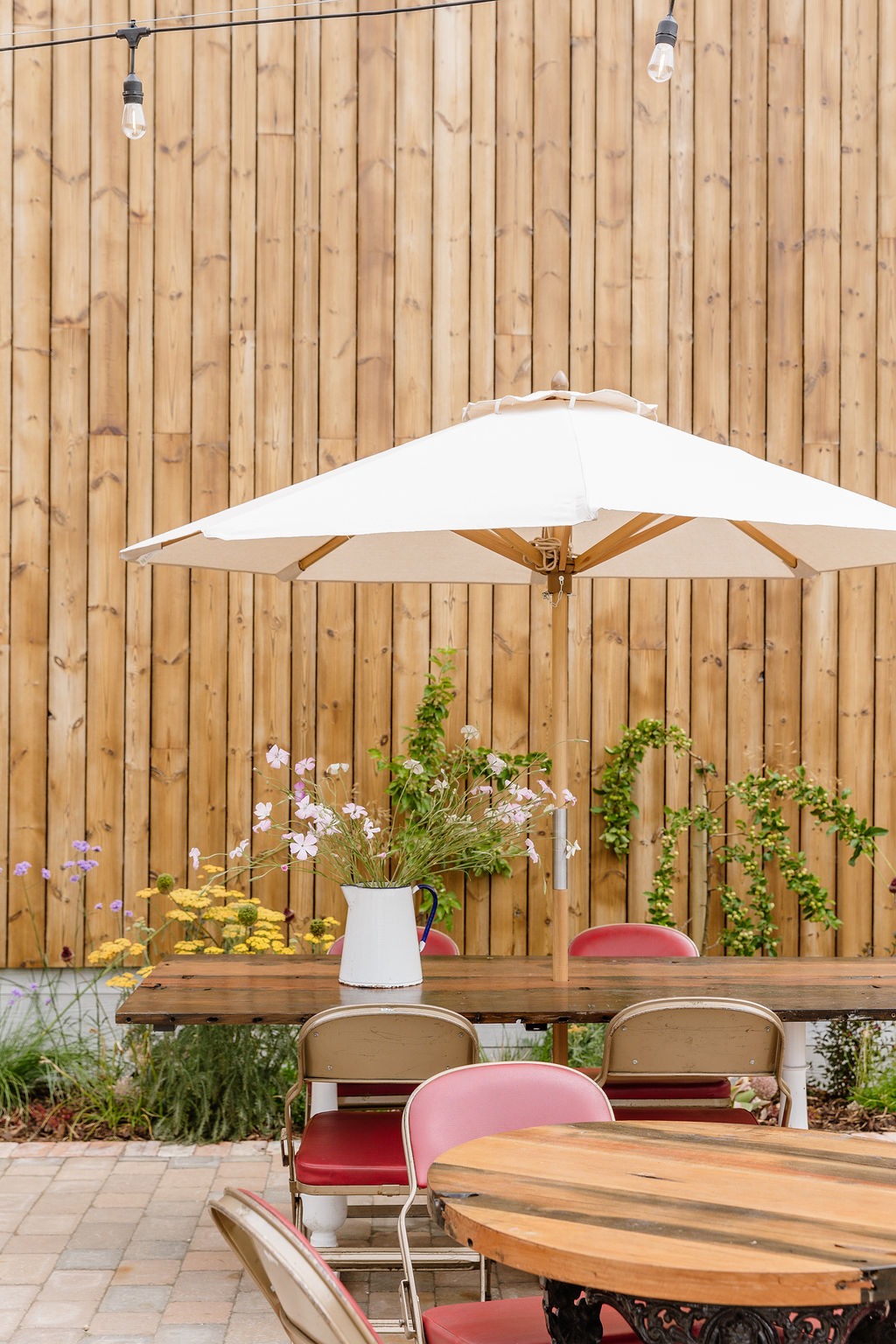 Testimonial by John Hayton