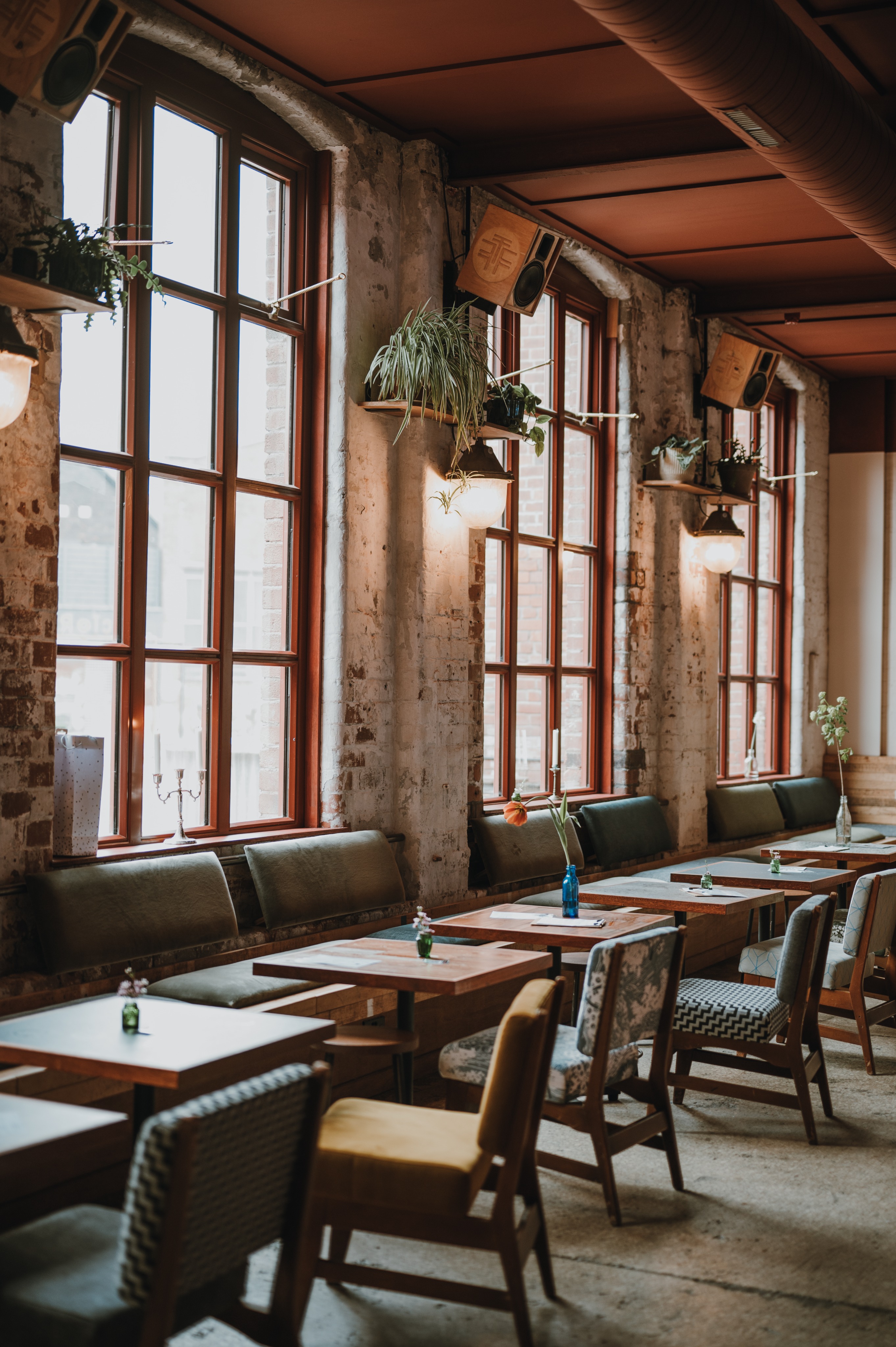 Testimonial by Dave Cross